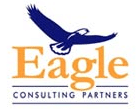 Eagle Consulting Partners, Healthcare IT Solutions
